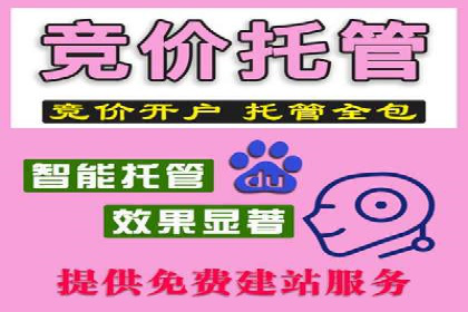 谷歌竞价案例：提升品牌知名度的广告投放